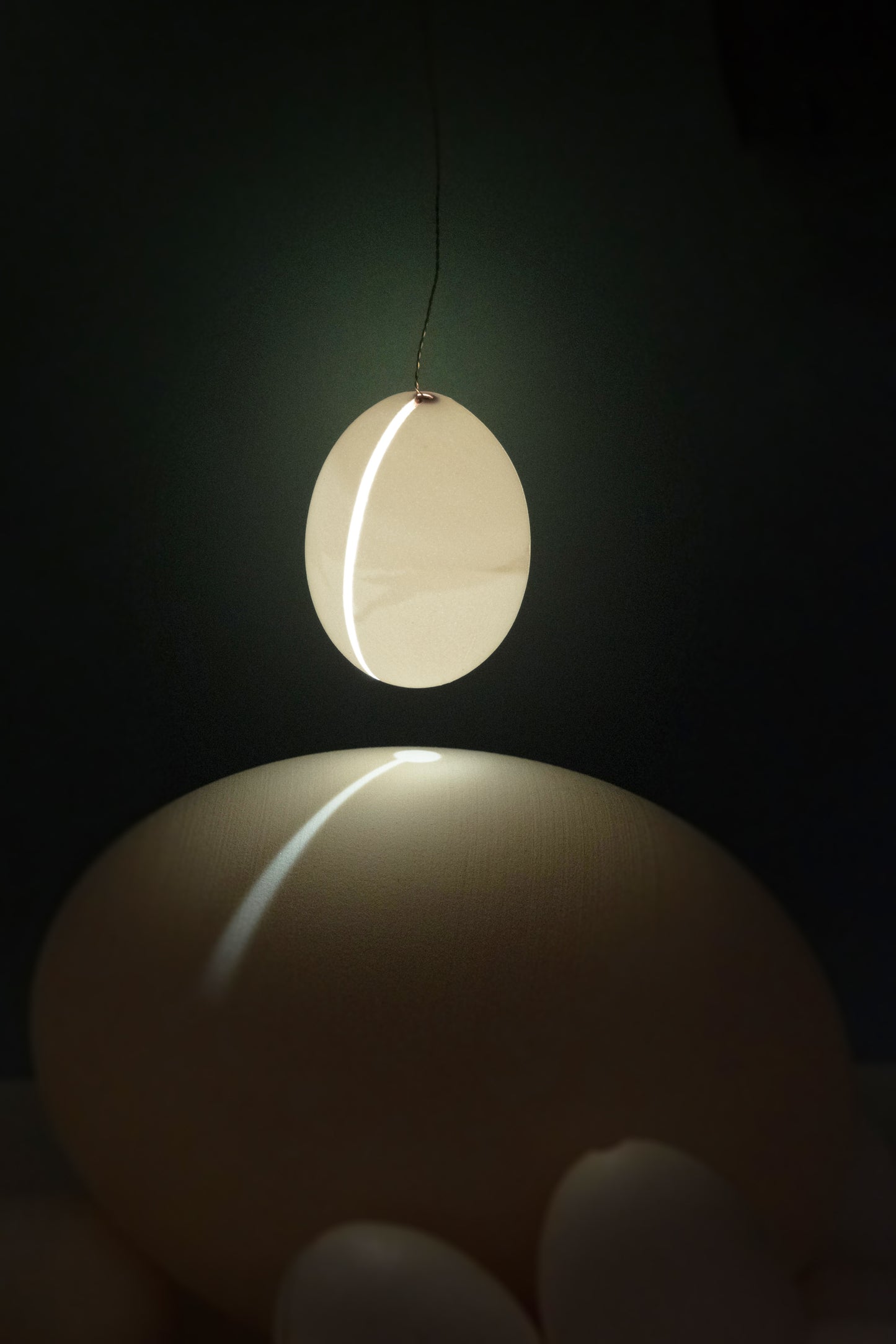 Reality Hanging Lamp