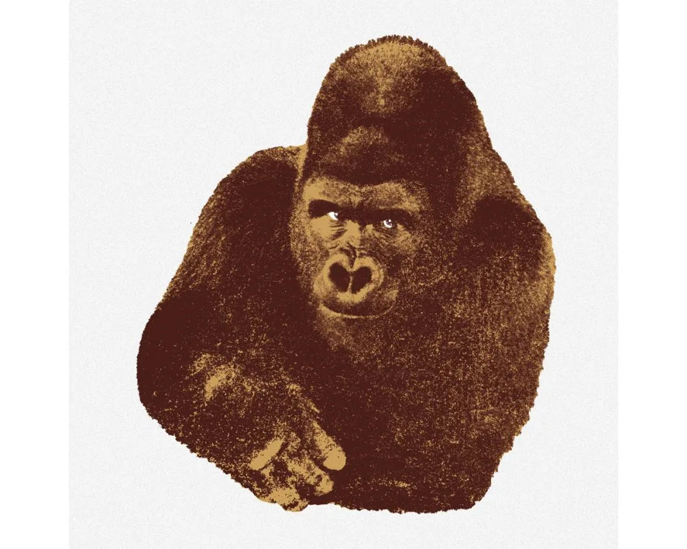 Il Gorilla print by Enzo Mari